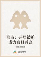 都市:开局被迫成为曹县首富