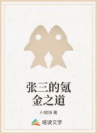 张三的氪金之道