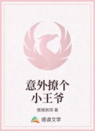 意外撩个小王爷