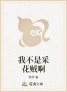 我不是采花贼啊
