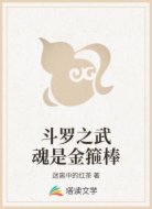 斗罗之武魂是金箍棒