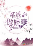 系统的傲娇妻