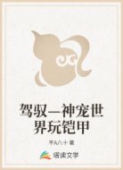 駕馭—神寵世界玩鎧甲