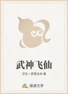 武神飞仙