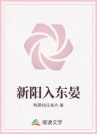 新阳入东晏