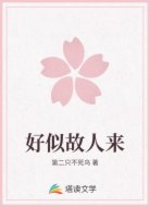 好似故人来