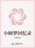 小顾梦回忆录