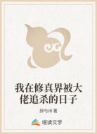 我在修真界被大佬追杀的日子