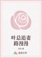叶总追妻路漫漫