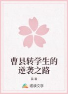 曹县转学生的逆袭之路
