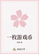 一枚游戏币