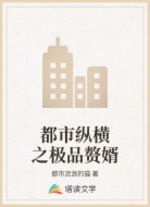 都市縱橫之極品贅婿
