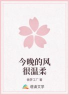 今晚的风很温柔