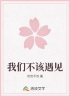 我们不该遇见