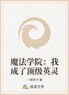 魔法学院:我成了顶级英灵