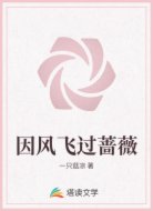 因风飞过蔷薇