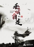 毛贼自述
