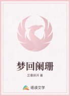 梦回阑珊