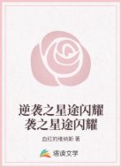 逆袭之星途闪耀袭之星途闪耀