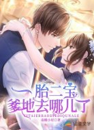 一胎二宝,爹地去哪儿了