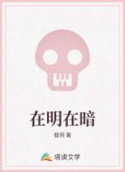 在明在暗