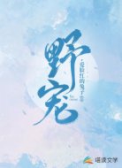 野宠