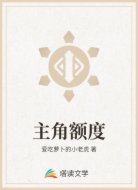 主角额度