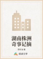 湖南株洲奇事记摘
