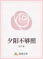 夕阳不够照