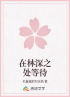 在林深之处等待