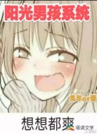 阳光男孩系统