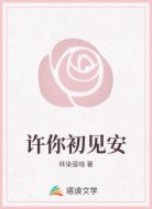 许你初见安
