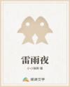 雷雨夜