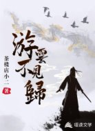 游云不见归