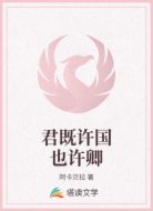 君既许国也许卿
