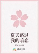 夏天路过我的暗恋