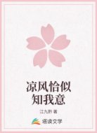 凉风恰似知我意