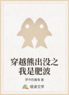 穿越熊出没之我是肥波