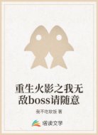 重生火影之我无敌boss请随意
