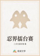 忍界擂台赛