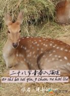 二十八岁青春入海流