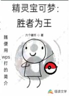 精灵宝可梦：胜者为王