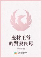 废材王爷的贤妻良母