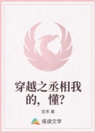 穿越之丞相我的，懂？