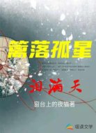 篱落孤星泪满 天