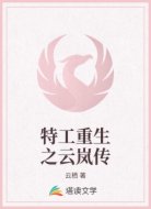 特工重生之云岚传
