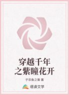 穿越千年之紫瞳花开