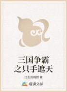 三國爭霸之只手遮天