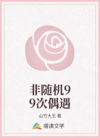非随机99次偶遇
