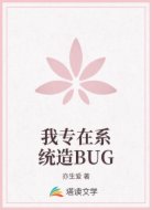 我專在系統(tǒng)造BUG